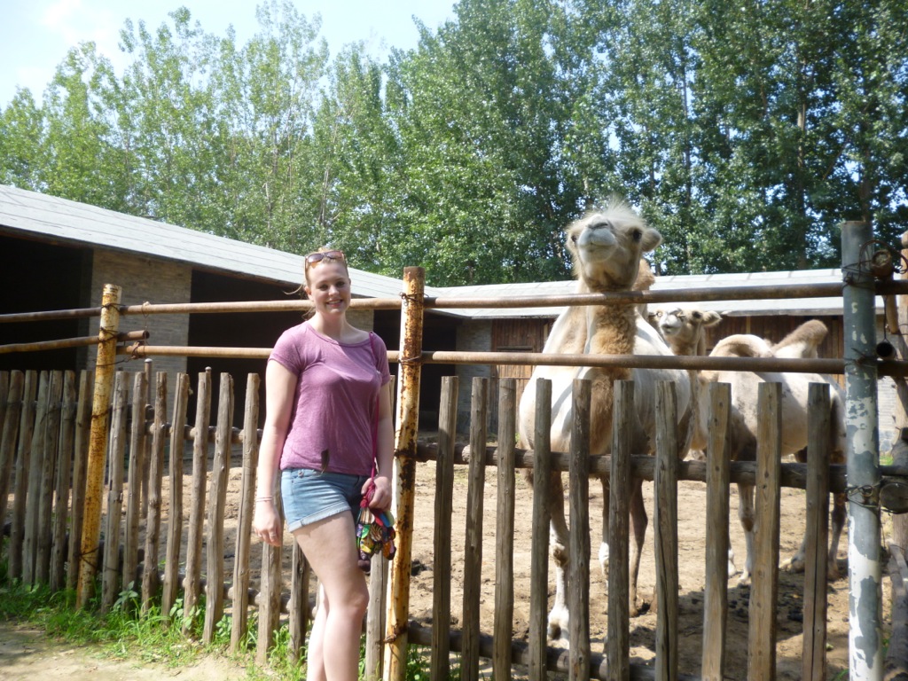 P1000389.JPG P1000389.JPG