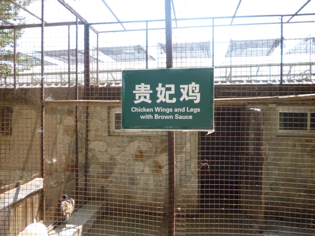 P1000395.JPG P1000395.JPG