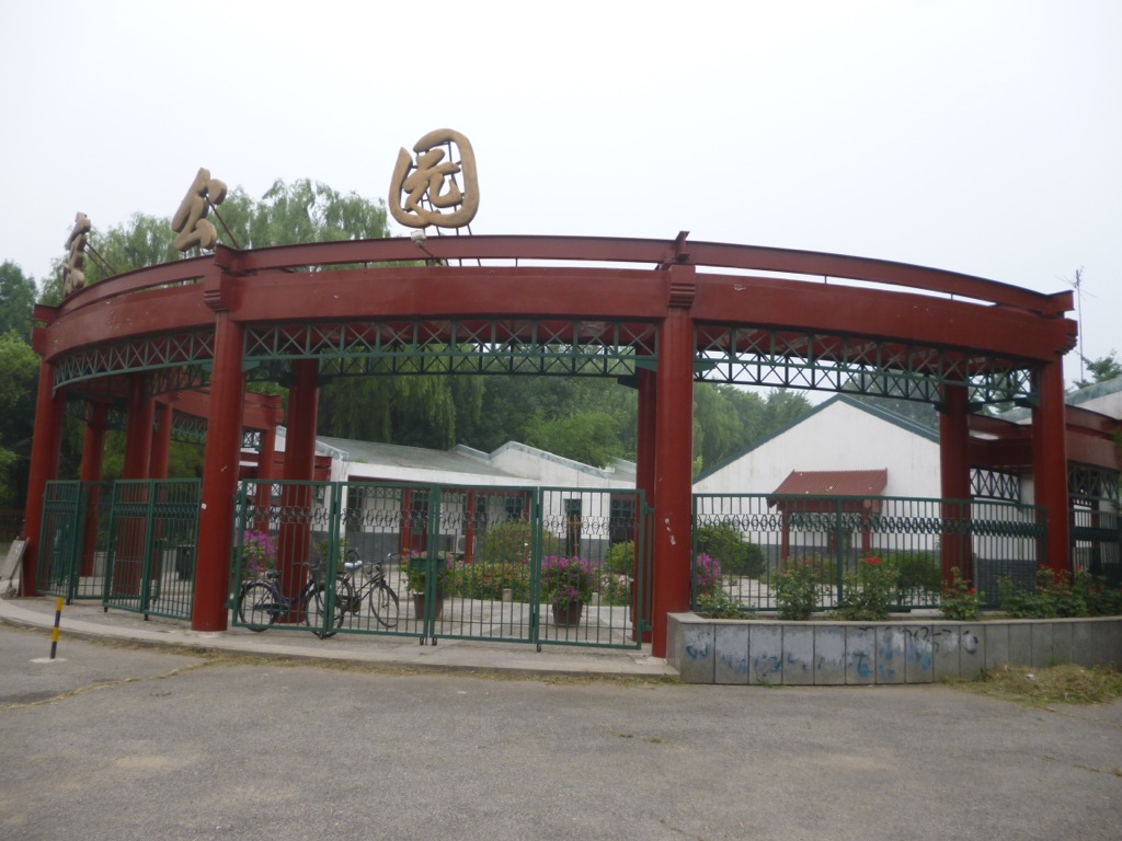 P1000422.JPG P1000422.JPG