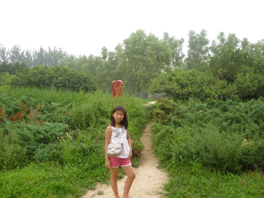 P1000426.JPG P1000426.JPG