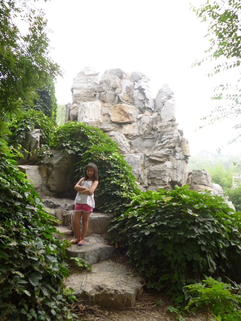 P1000434.jpg P1000434.jpg