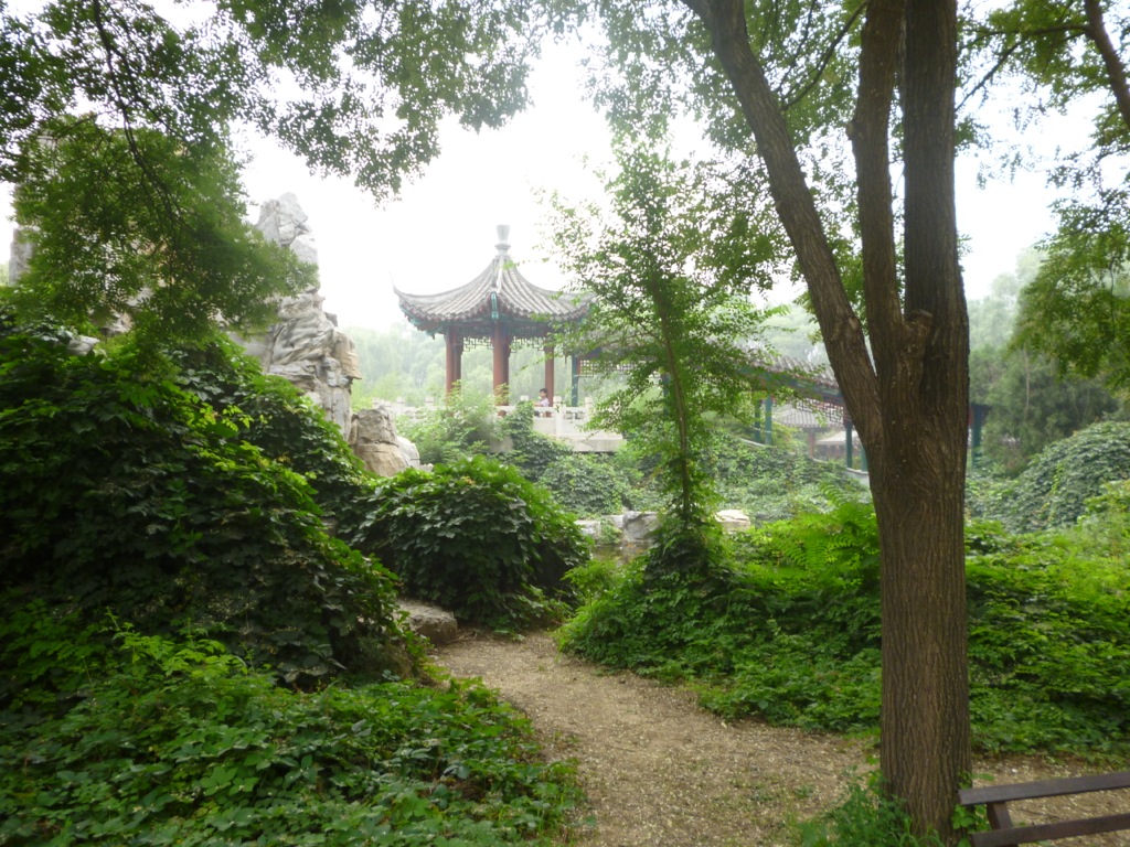 P1000435.JPG P1000435.JPG