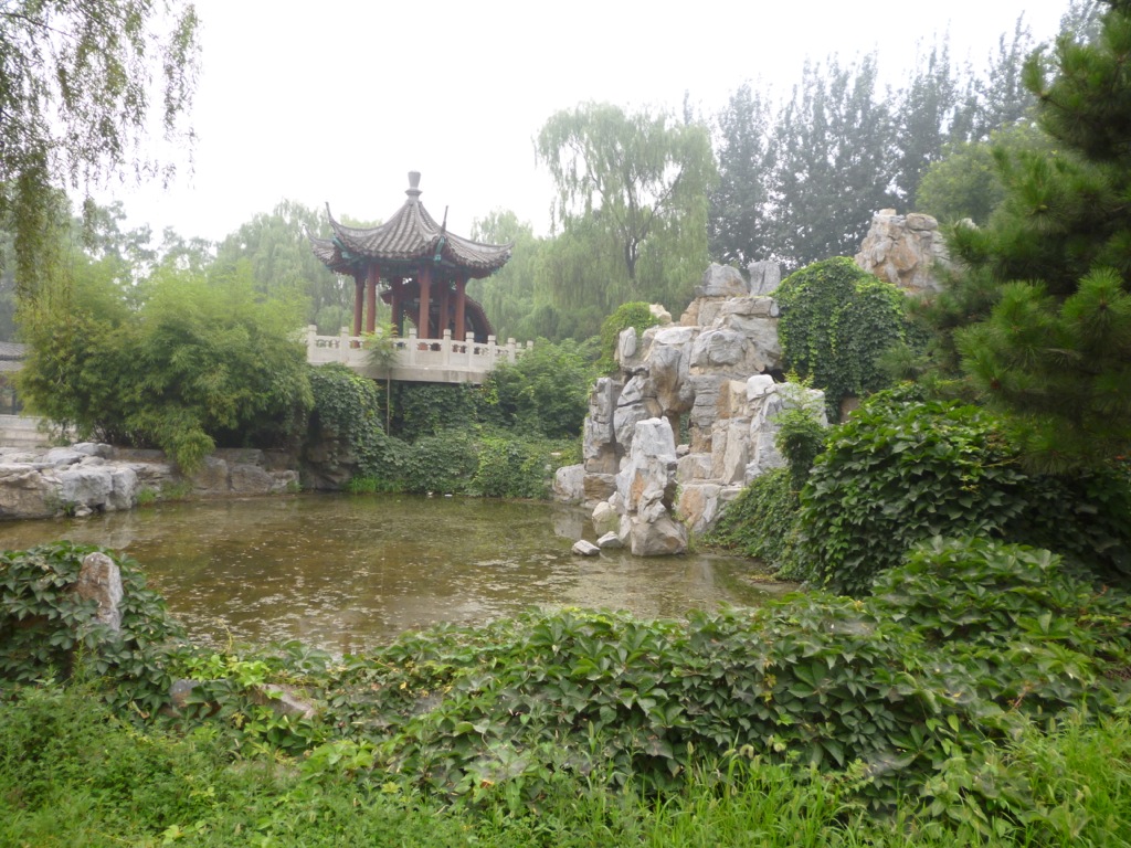 P1000437.JPG P1000437.JPG