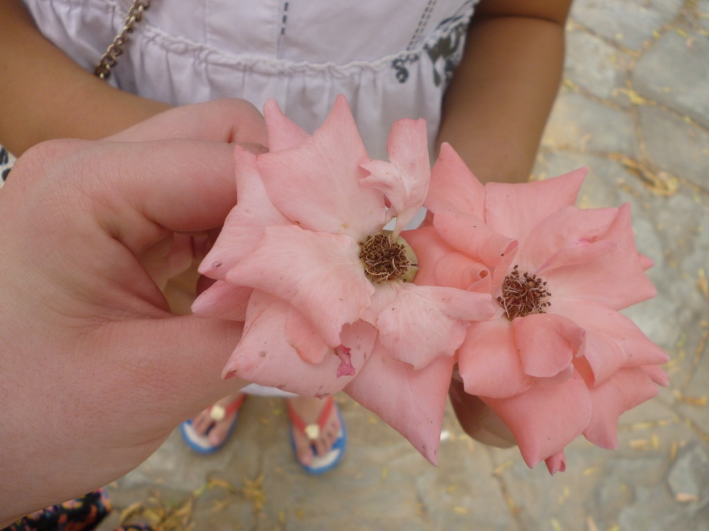 P1000439.JPG