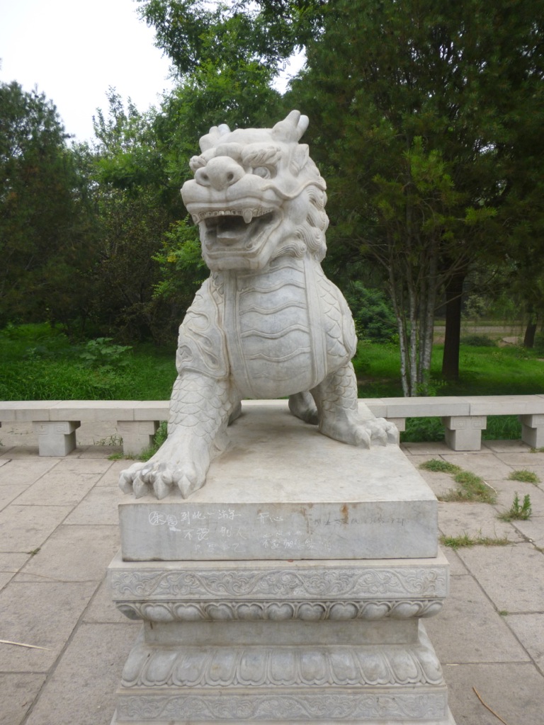 P1000443.jpg P1000443.jpg