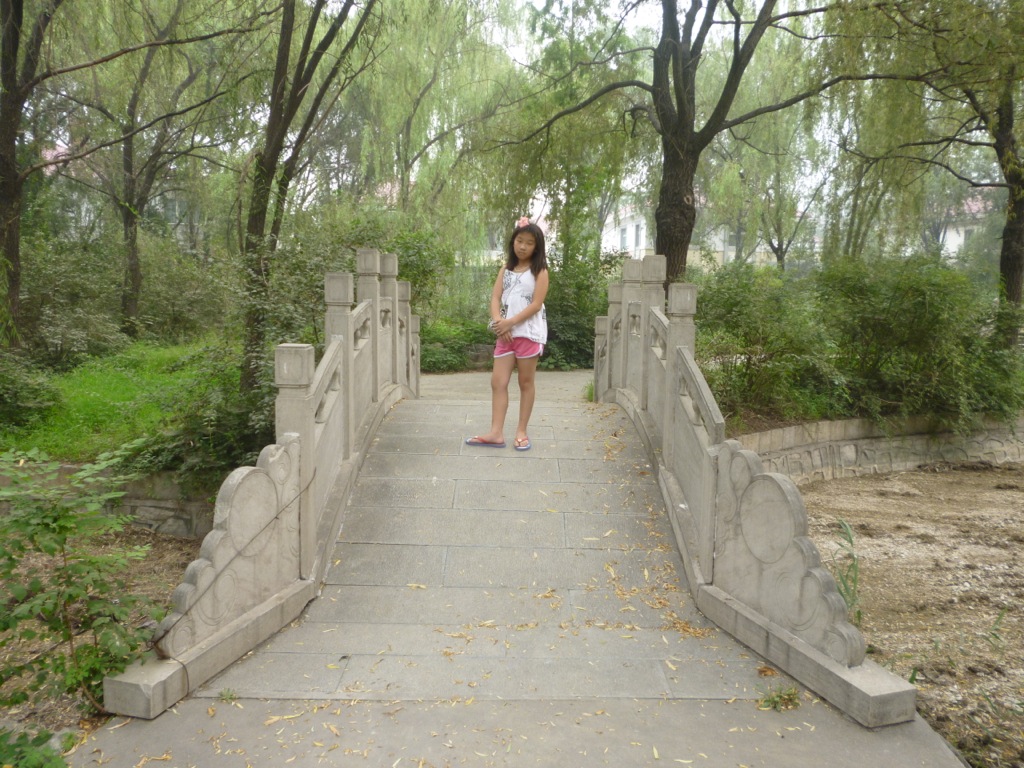 P1000449.JPG P1000449.JPG