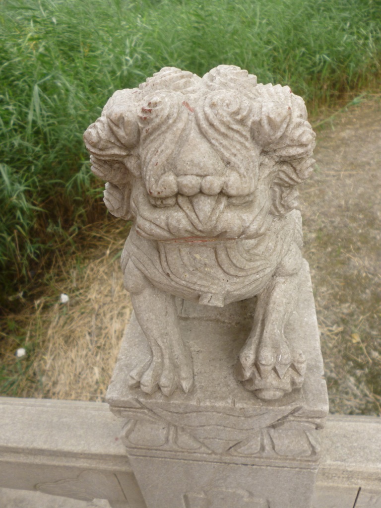 P1000455.jpg P1000455.jpg