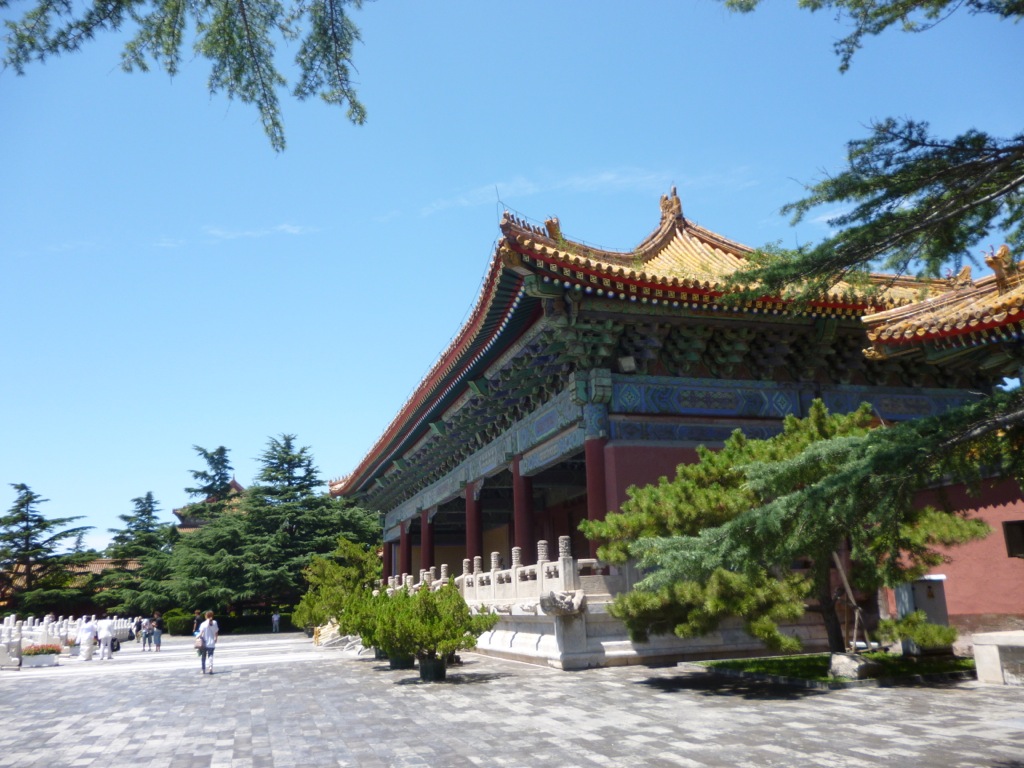 P1000493.JPG P1000493.JPG