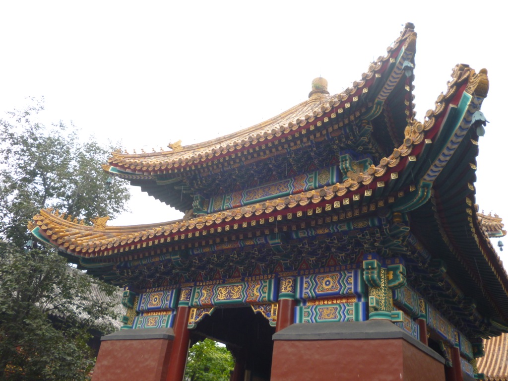 P1000776.JPG P1000776.JPG