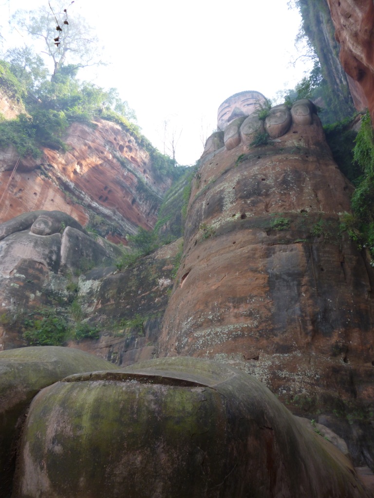 P1020698.jpeg P1020698.jpeg