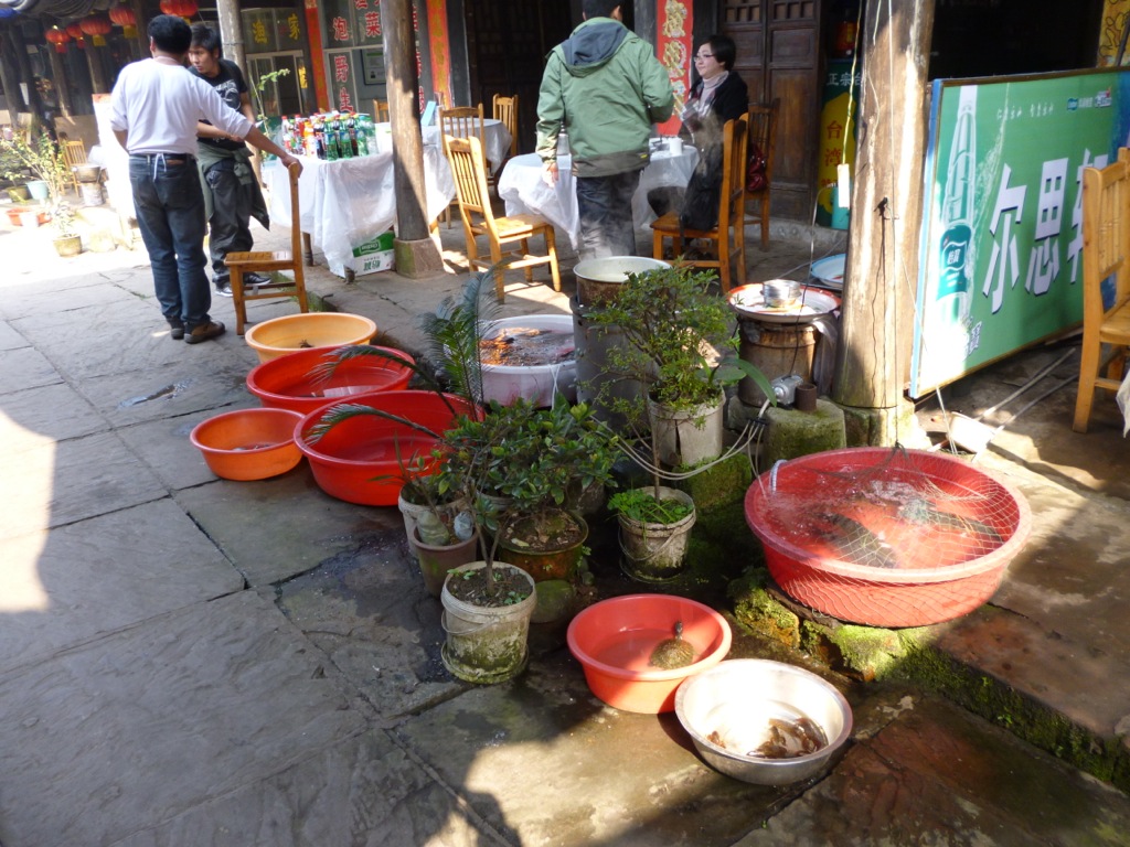 P1020712.jpeg P1020712.jpeg