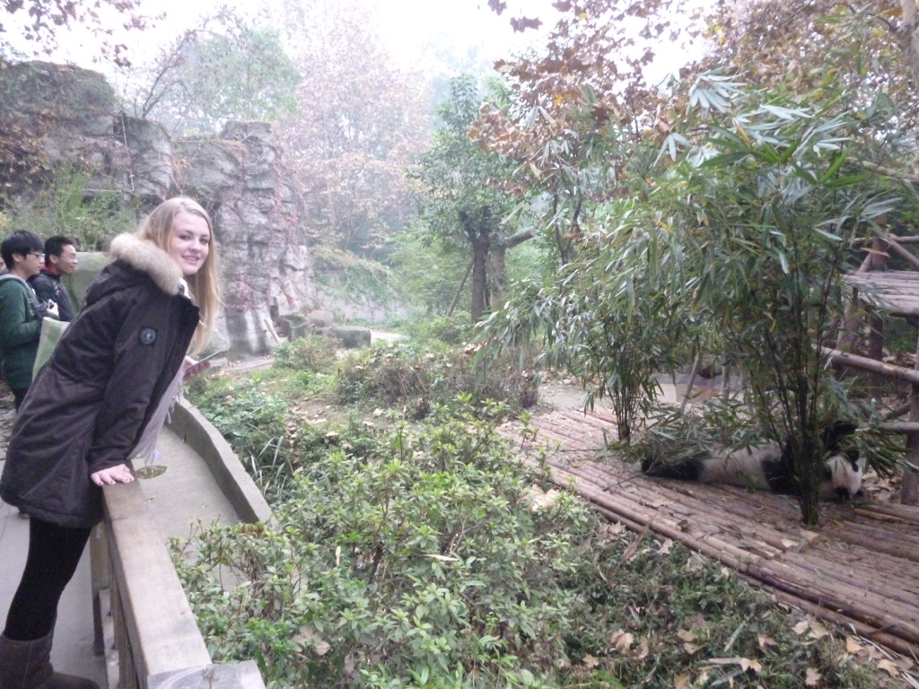 P1020787.jpeg P1020787.jpeg