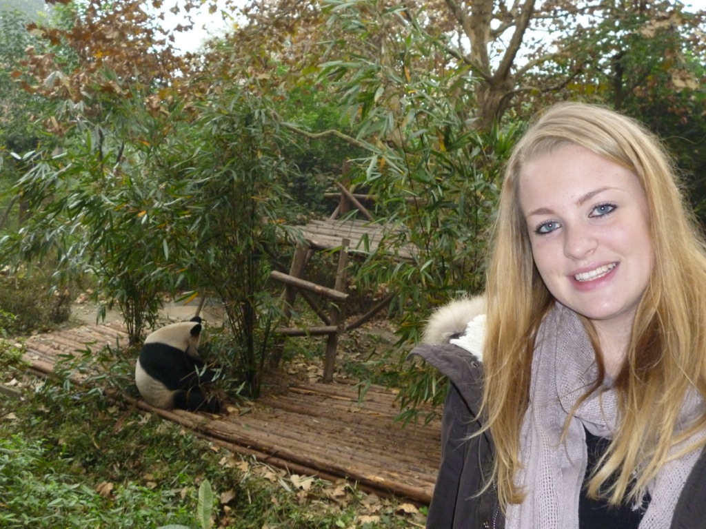 P1020802.jpeg P1020802.jpeg