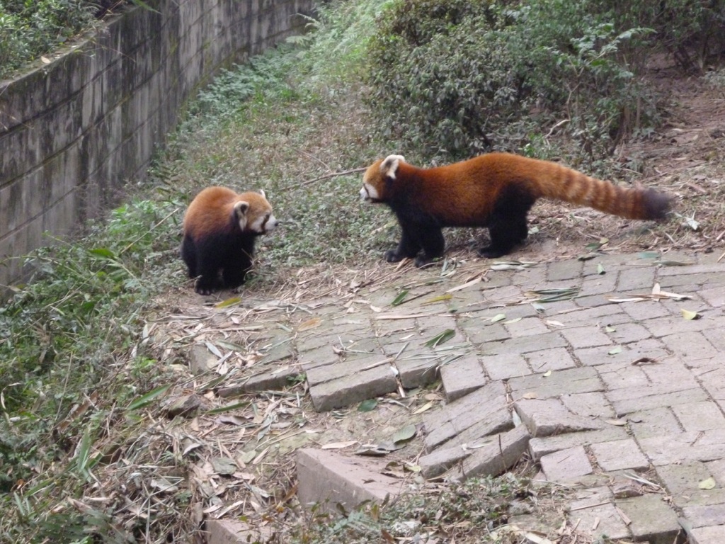 P1020916.JPG P1020916.JPG