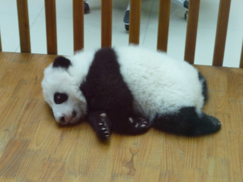 P1020981.JPG P1020981.JPG