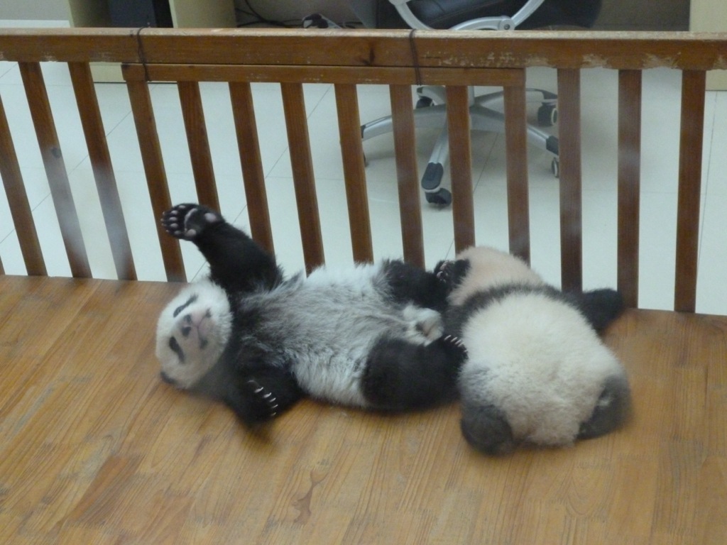 P1020983.JPG P1020983.JPG