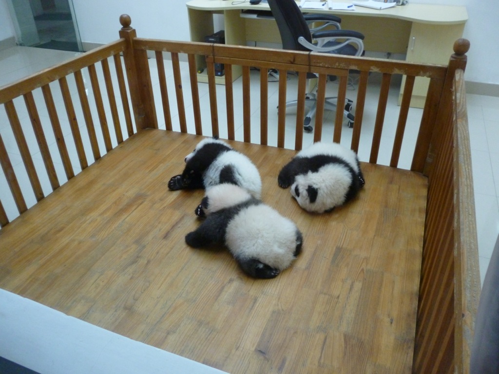 P1020991.JPG P1020991.JPG