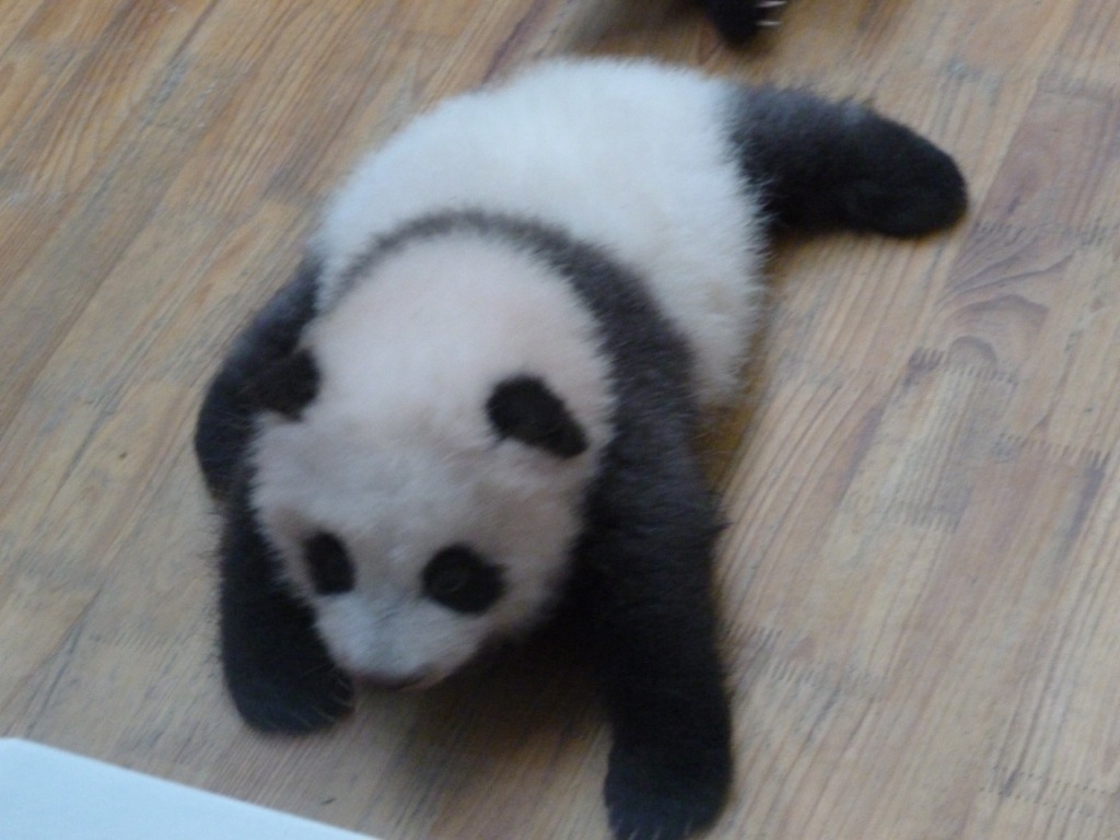 P1020996.JPG P1020996.JPG