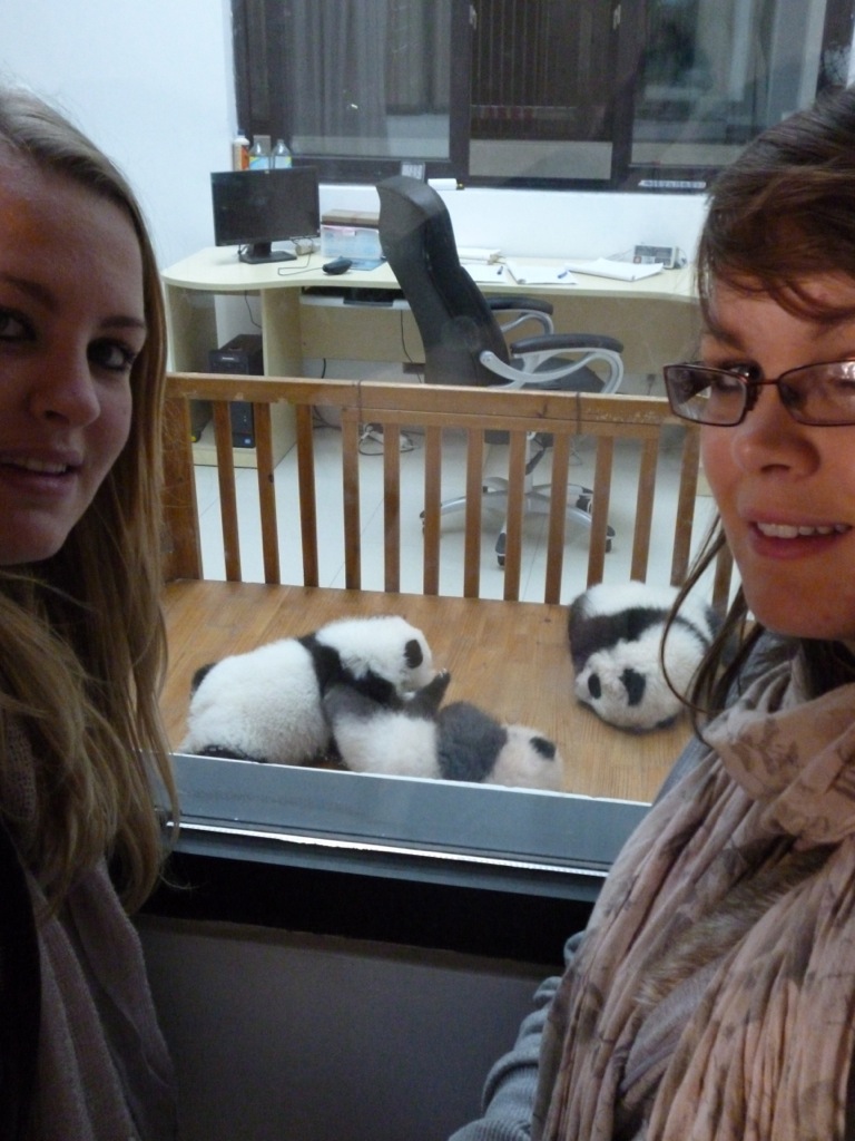 P1030007.jpg P1030007.jpg