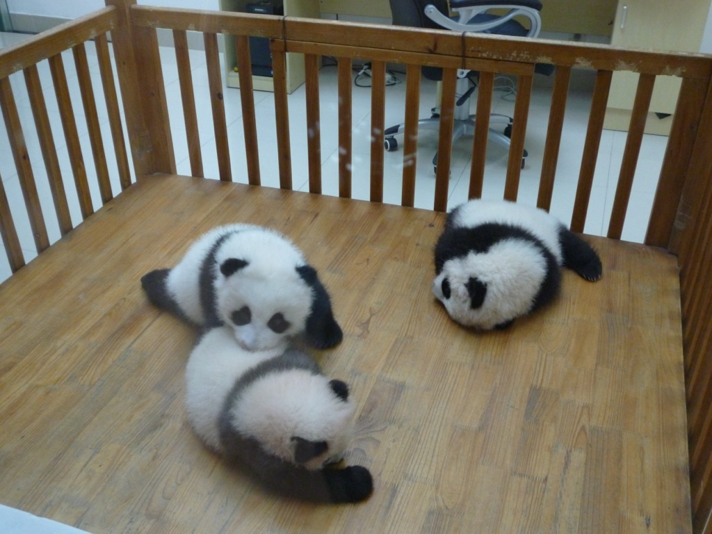 P1030009.JPG P1030009.JPG