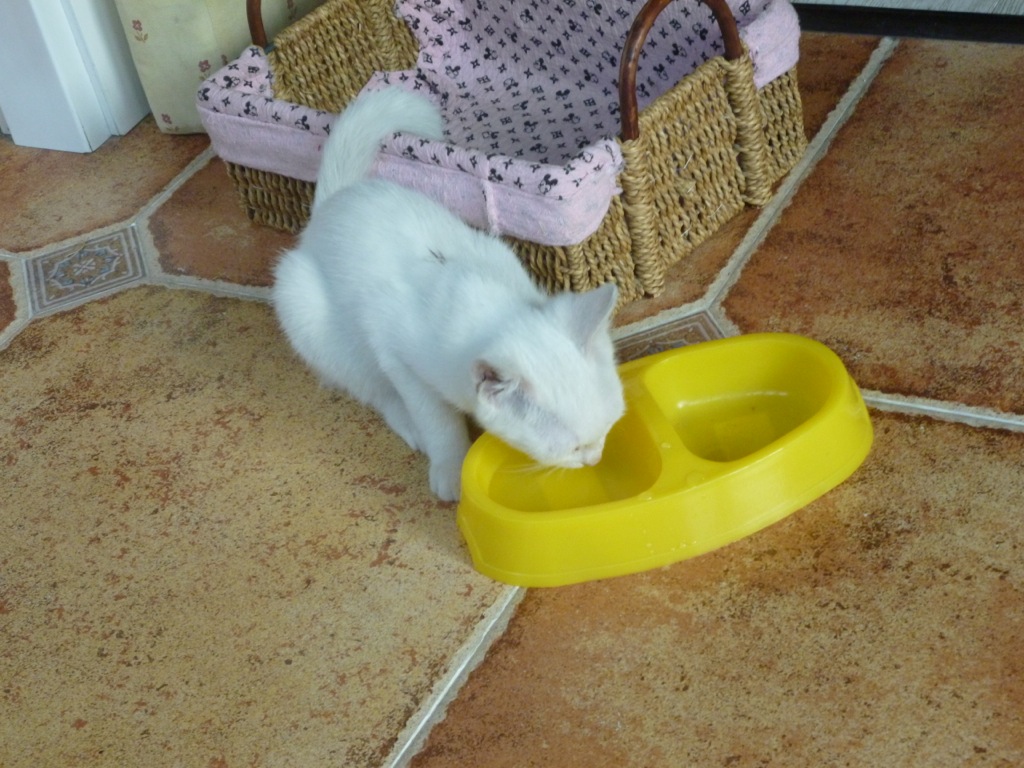 drinking her water drinking her water